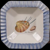 Ceramica due Torri Sea Shell Dinnerware Made in Italy